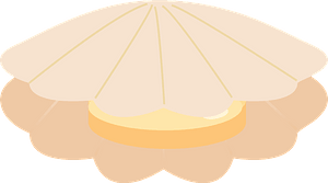 Yesso scallop shellfish