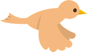 Bird flying