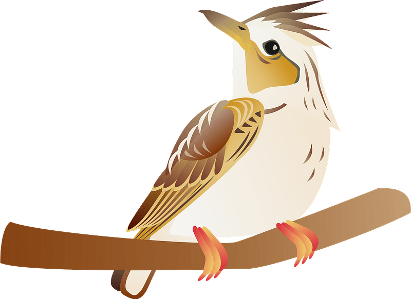 Eurasian skylark bird on a branch - Free vector clipart images on ...