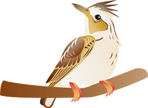 Eurasian skylark bird on a branch