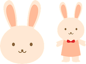Rabbit 
