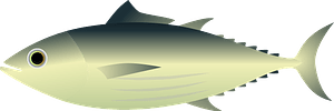 Skipjack tuna fish