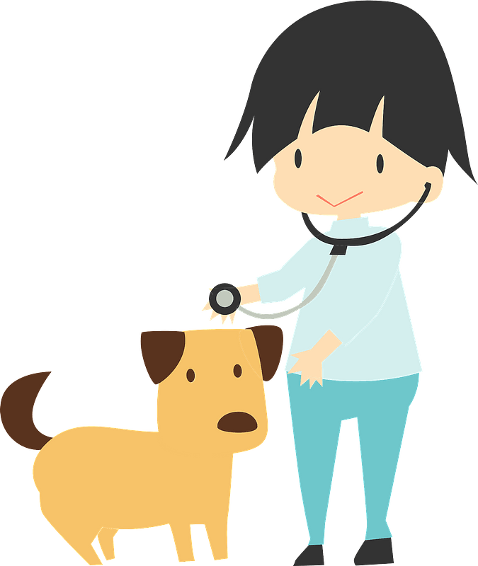 Veterinarian checking a dog
