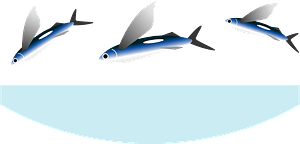 Flying fish