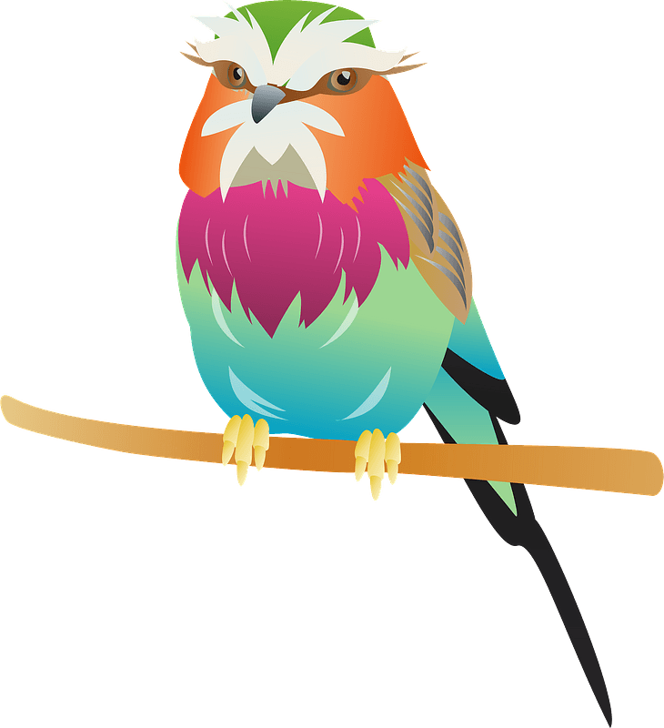 Lilac breasted roller bird