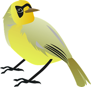 Bonin white-eye bird