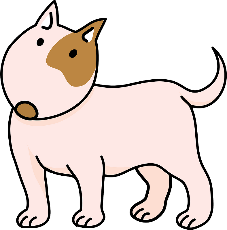 Bull terrier dog