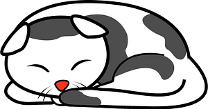 Cat sleeping