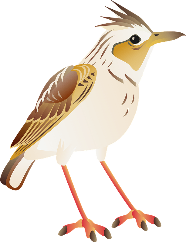 Eurasian skylark bird - Free vector clipart images on creazilla.com