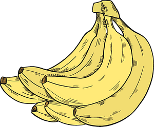 Bunch of bananas