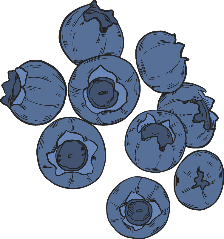 Blaubeeren