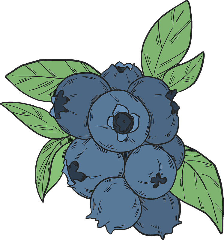 Blueberry