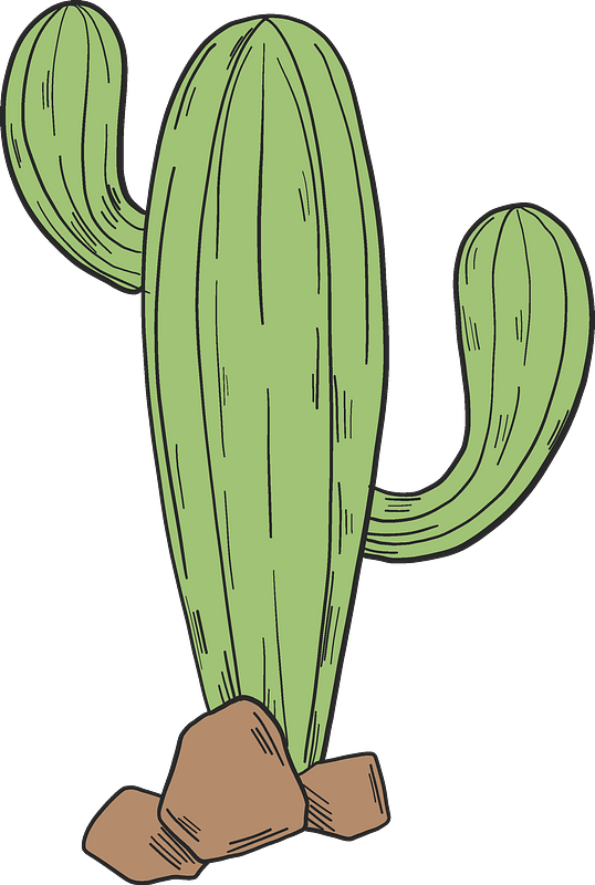 Cactus