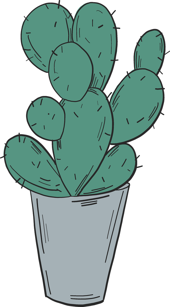 Cactus in a pot