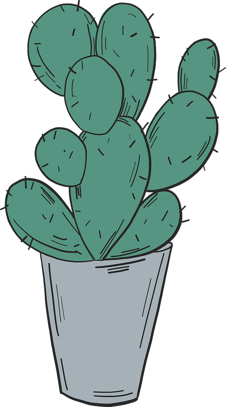 Cactus in a pot