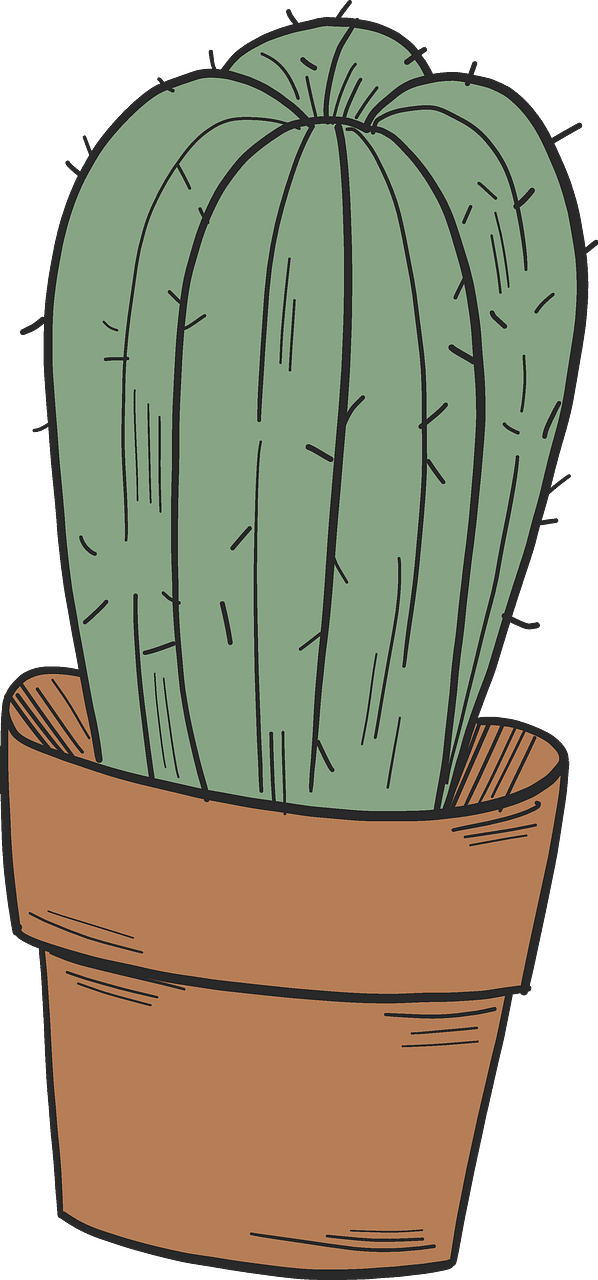 Cactus in a pot