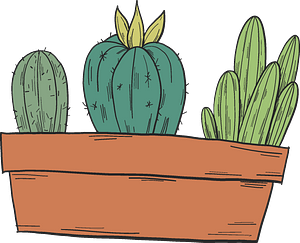 Cactuses in a pot