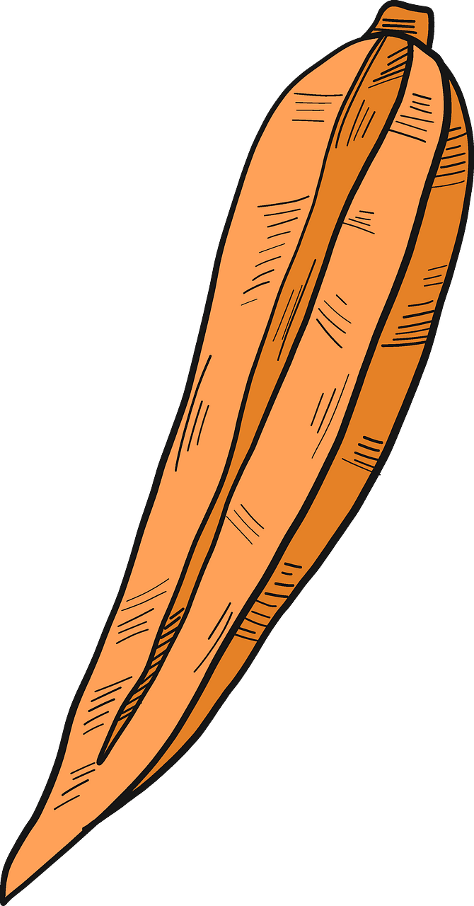 Carrot cut in half