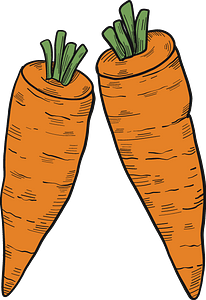 Two carrots