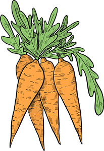 Carrots