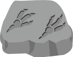 Fossil of dinosaur footprint