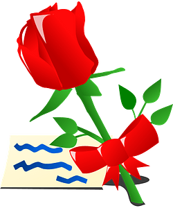Valentine day rose