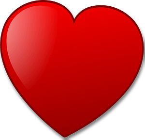 Heart