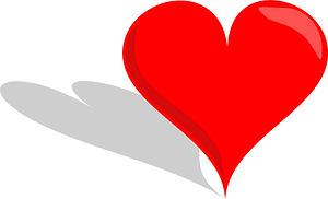 3D heart