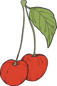 Cherries