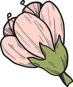 Cherry flower
