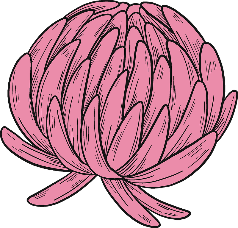 Clover blossom