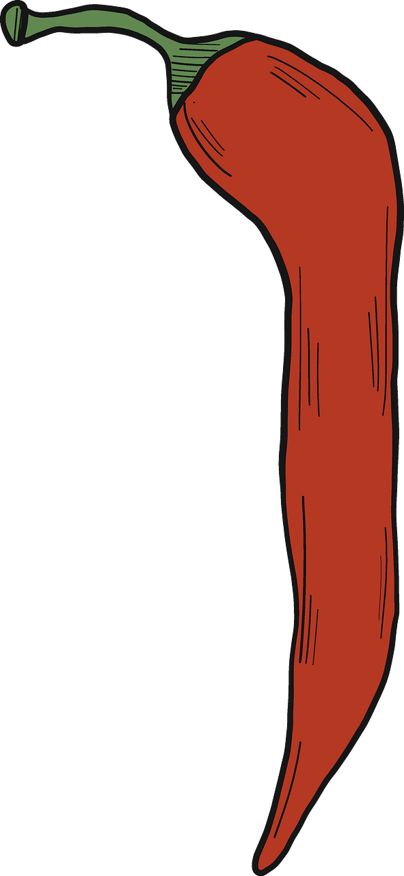 Chilli pepper