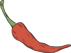 Chilli pepper