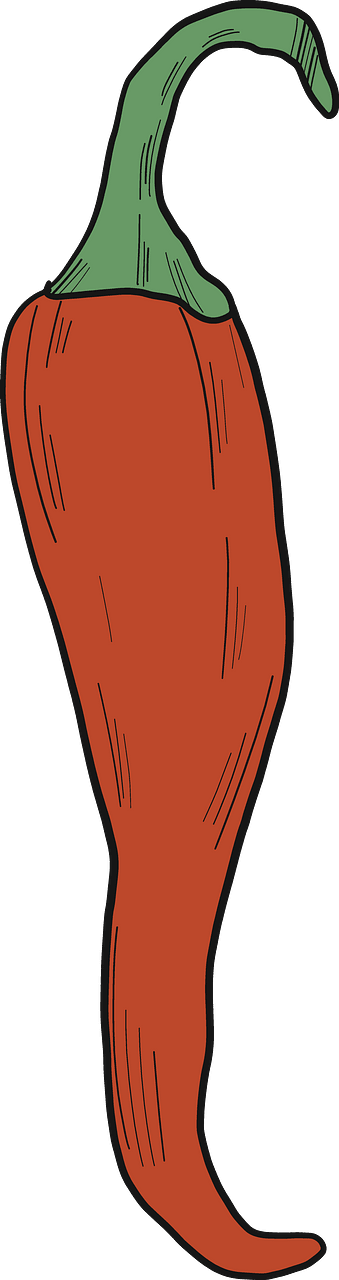 Chilli pepper
