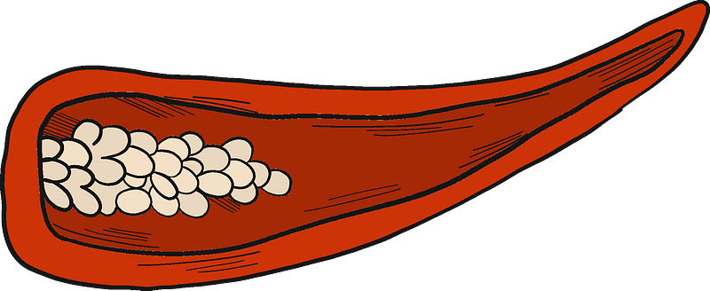 Chilli pepper cut in half
