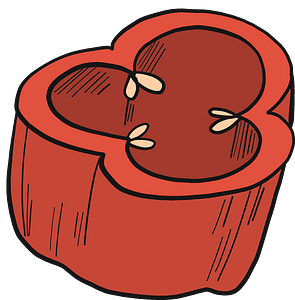 Chilli pepper slice