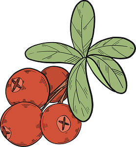 Cranberries