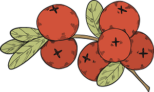 Cranberries