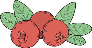 Three cranberries