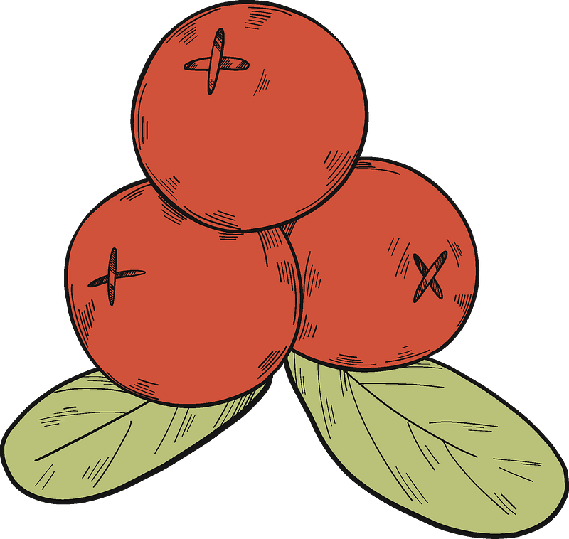 Three cranberries