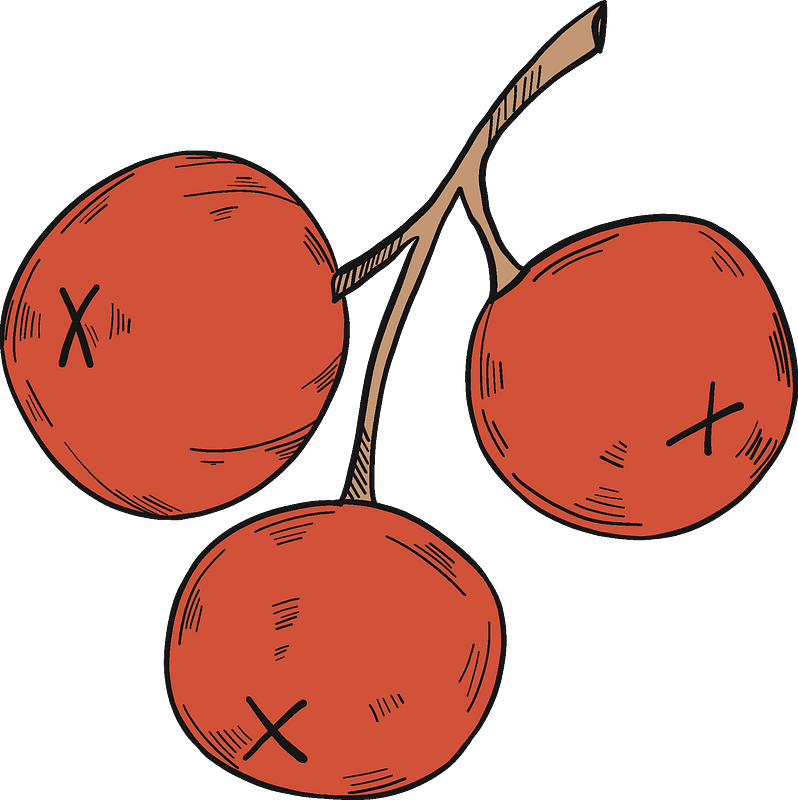Three cranberries