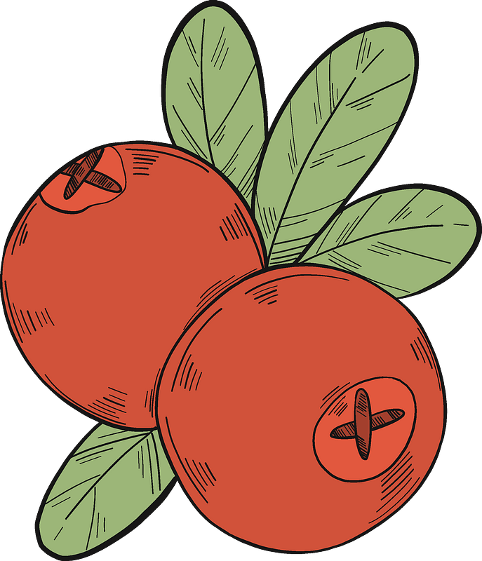 Two cranberries