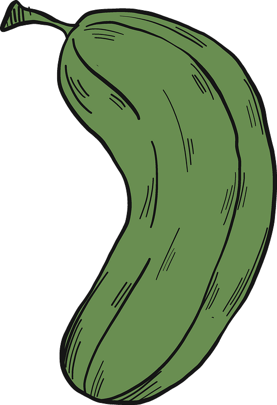 Cucumber