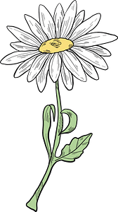 Daisy