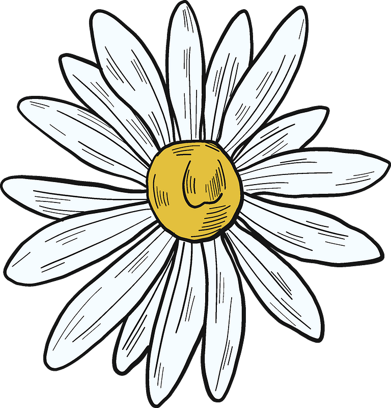 Daisy