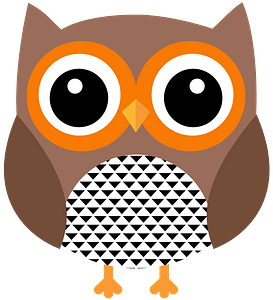 Brown Owl with Orange Eye Rings