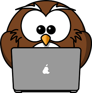 Owl with laptop