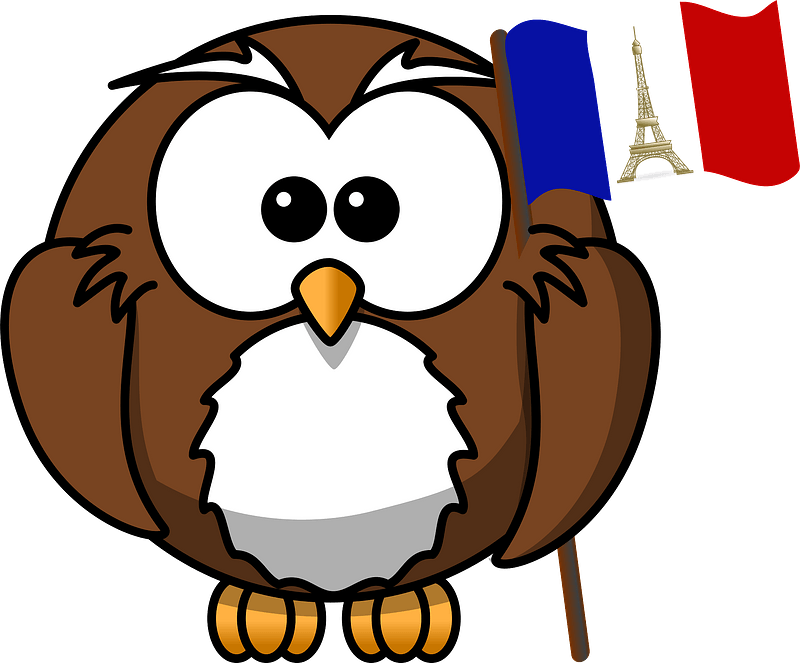 Owl with flag of France