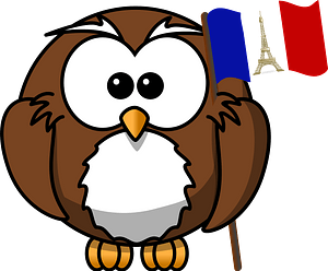 Owl with flag of France