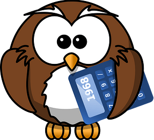 Cartoon owl with calculator